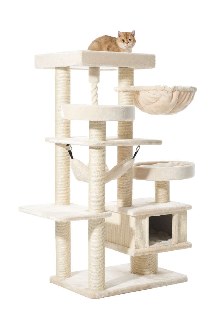 Nobby Kratzbaum Vago